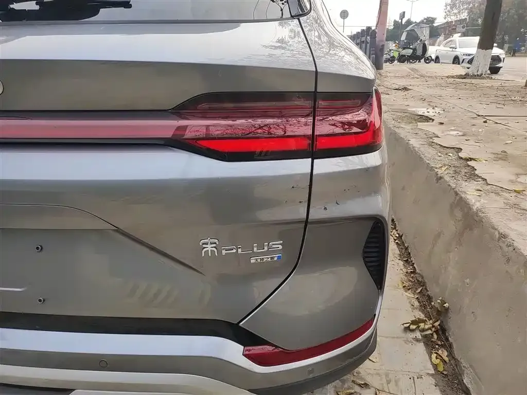 BYD PLUS New Energy 2025 из CN, фото 2