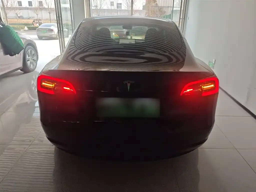 Tesla Model 3 2023 из CN, фото 4