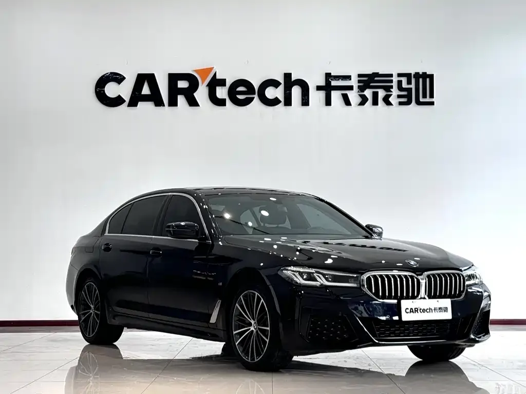 BMW 5 Series 2023 из CN, фото 8