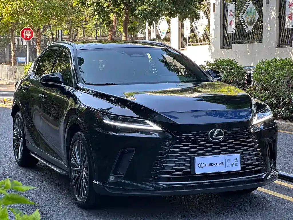 Lexus RX 2023 из CN, фото 9