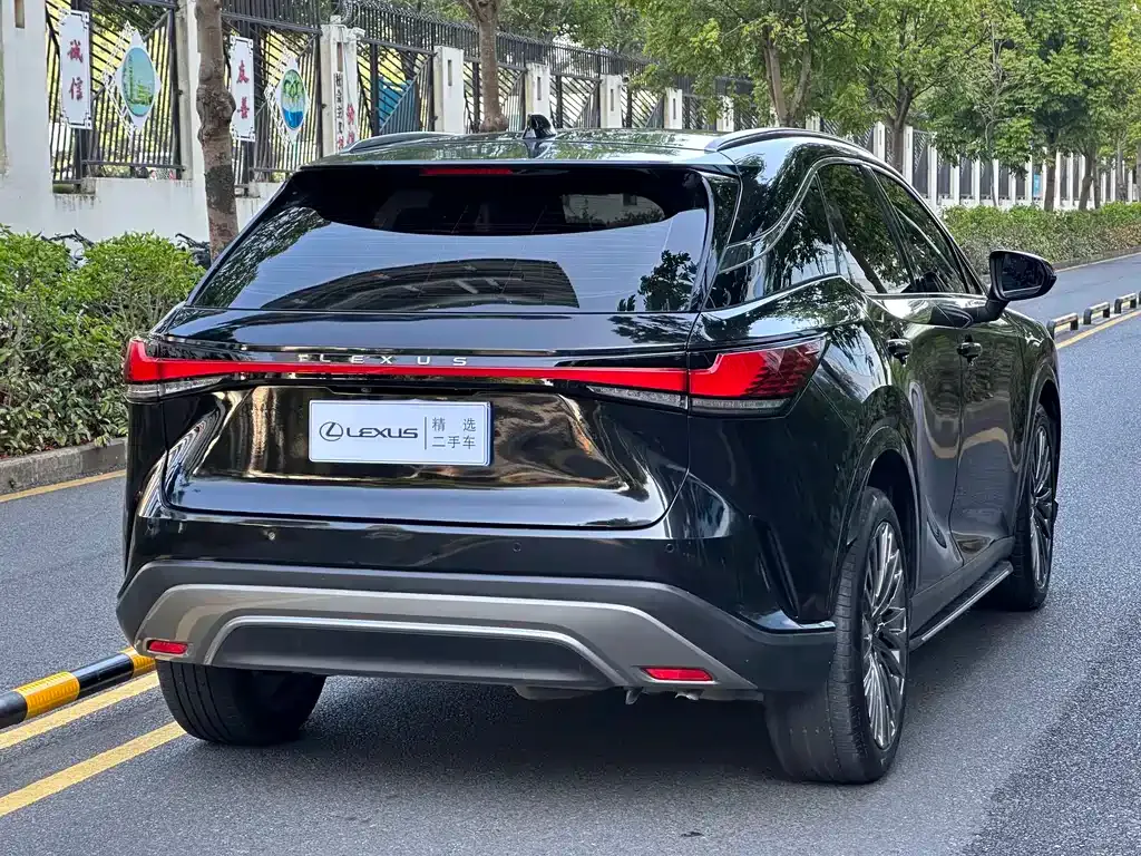 Lexus RX 2023 из CN, фото 10