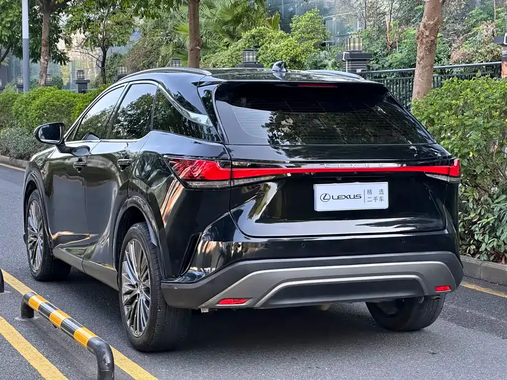 Lexus RX 2023 из CN, фото 5