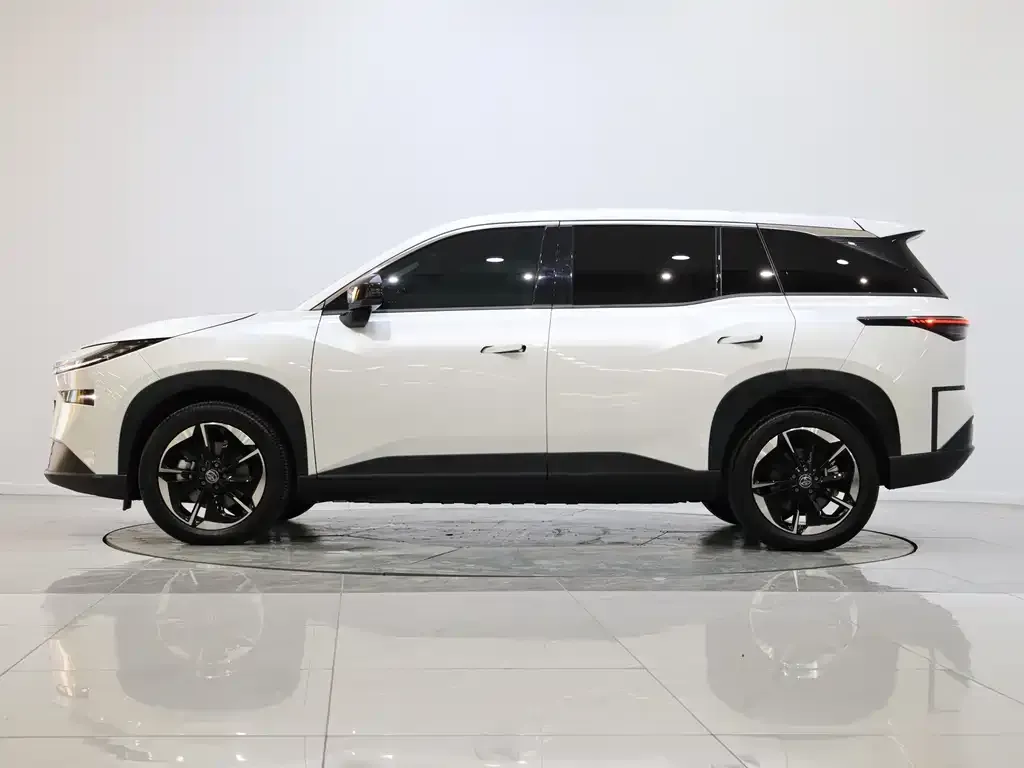 Toyota Platinum 3X 2025 из CN, фото 2