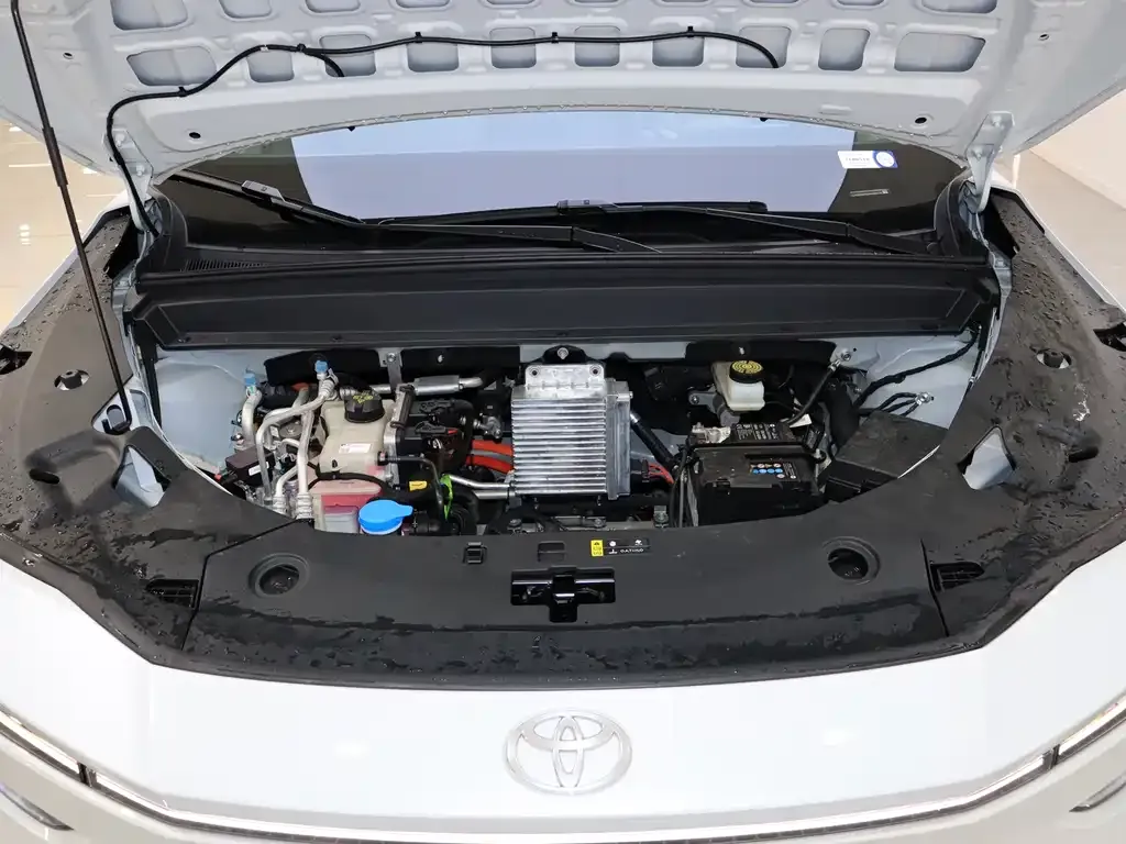 Toyota Platinum 3X 2025 из CN, фото 9