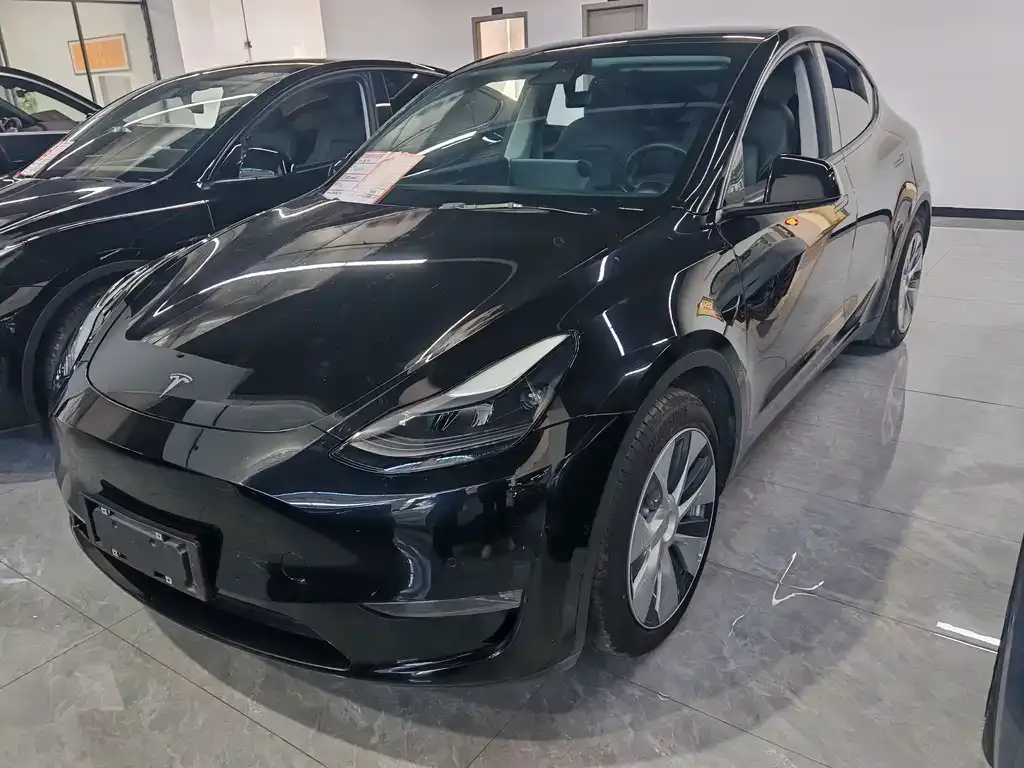 Tesla Model Y 2021 из CN, фото 1