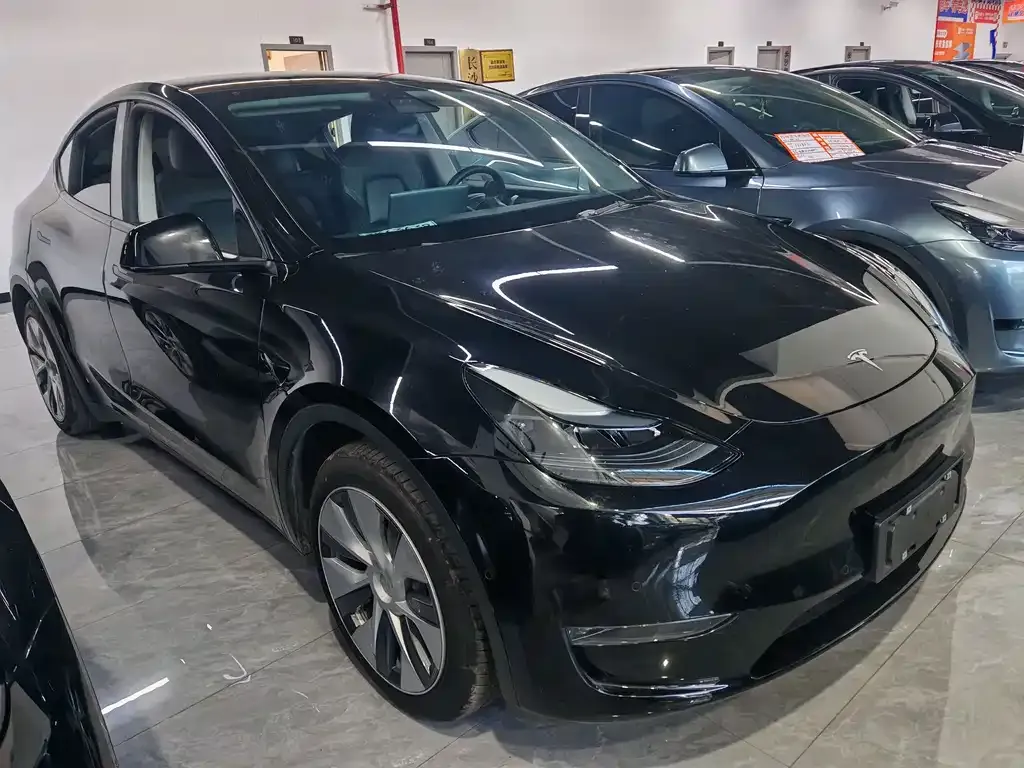 Tesla Model Y 2021 из CN, фото 3