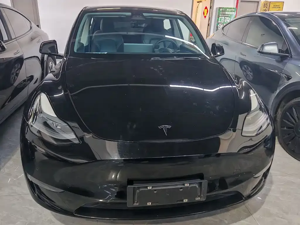Tesla Model Y 2021 из CN, фото 2