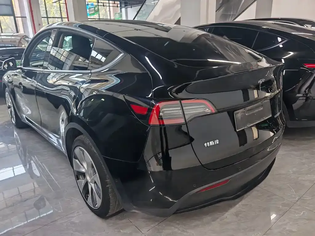 Tesla Model Y 2021 из CN, фото 7