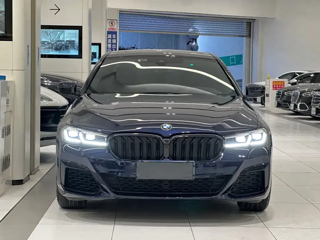 BMW 5 Series (Import) 2023 из CN, фото 10