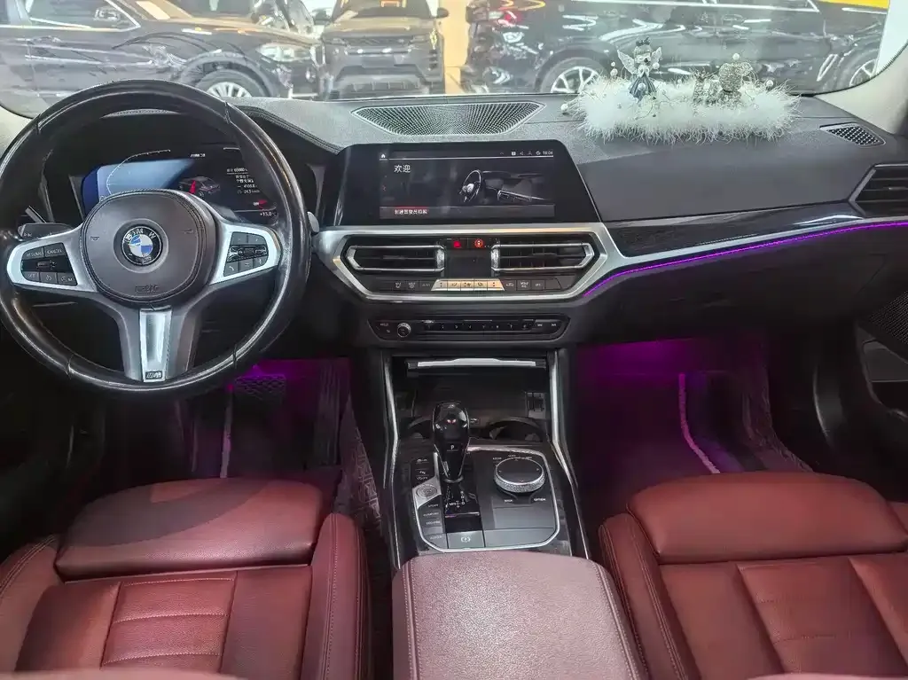 BMW 3 Series 2021 из CN, фото 7