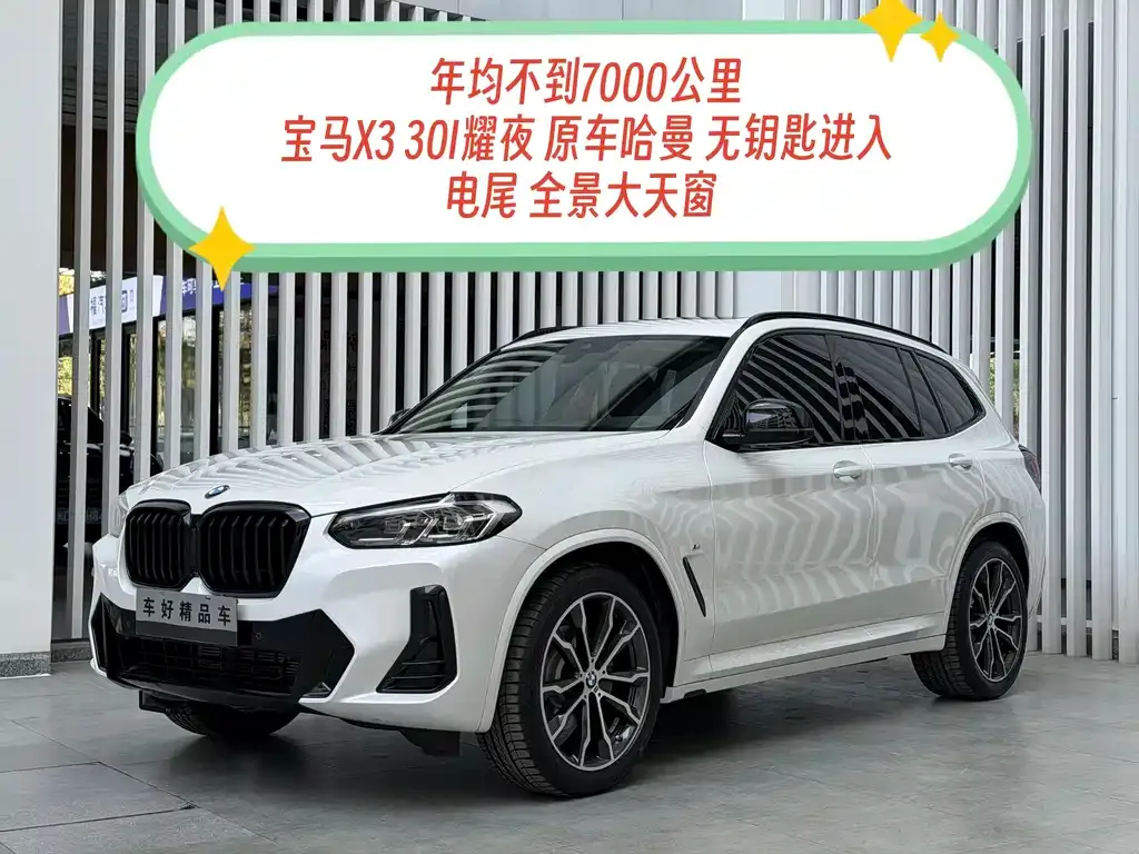 BMW X3 2023 из CN, фото 10