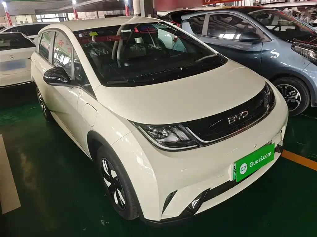 [object Object] Dolphin 2025 из CN, фото 4