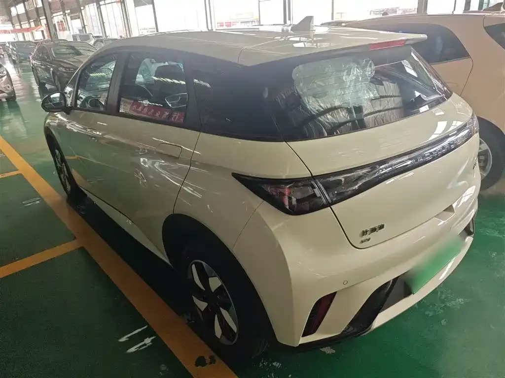 [object Object] Dolphin 2025 из CN, фото 5