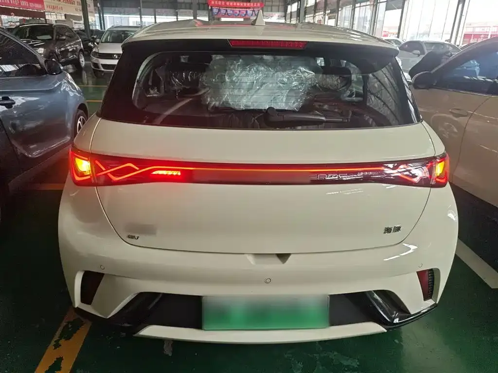 [object Object] Dolphin 2025 из CN, фото 6