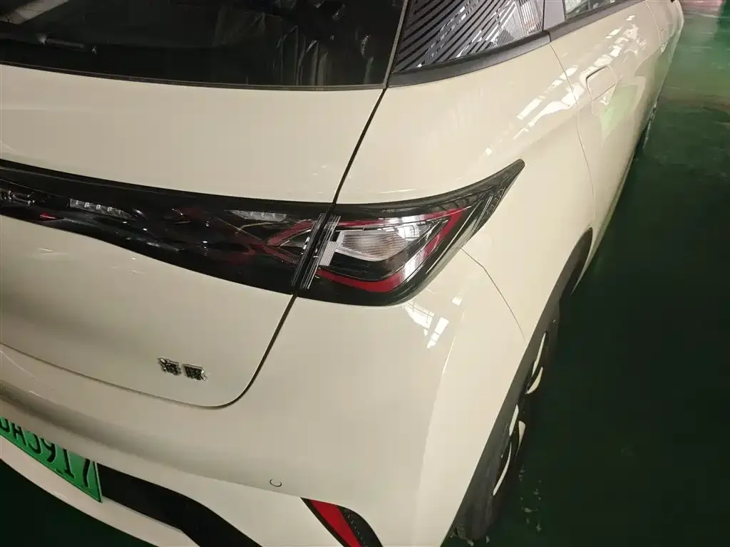 [object Object] Dolphin 2025 из CN, фото 8