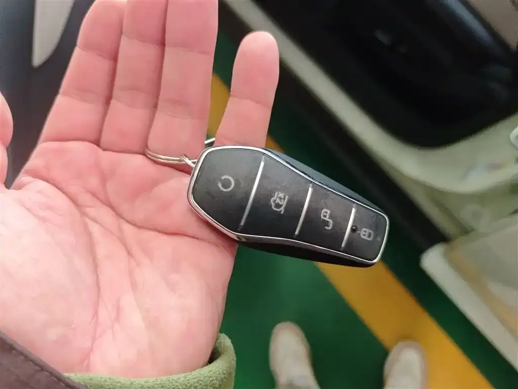 [object Object] Dolphin 2025 из CN, фото 9