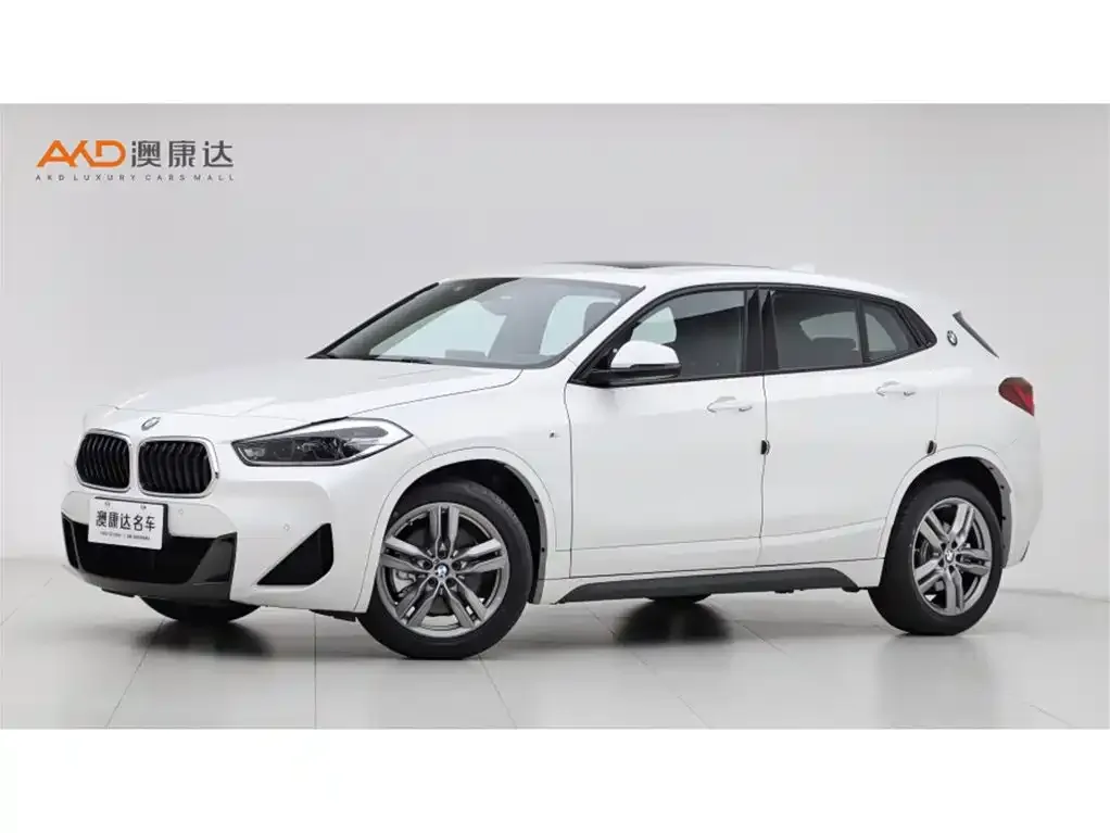 BMW X2 2021 из CN, фото 1