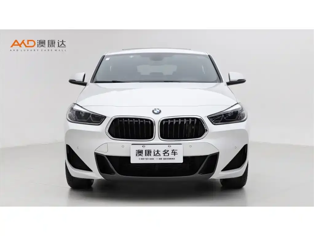 BMW X2 2021 из CN, фото 2