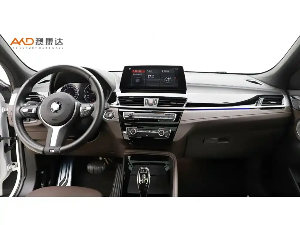 BMW X2 2021 из CN, фото 5