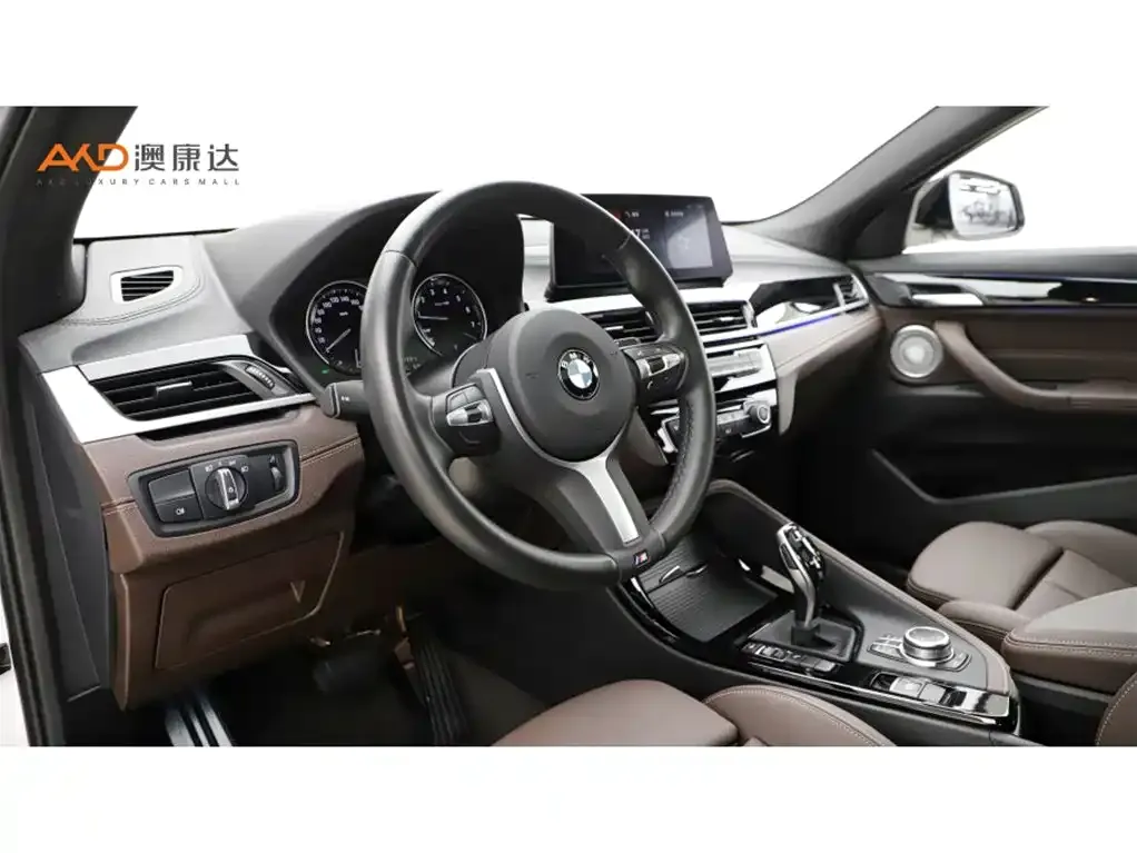 BMW X2 2021 из CN, фото 6