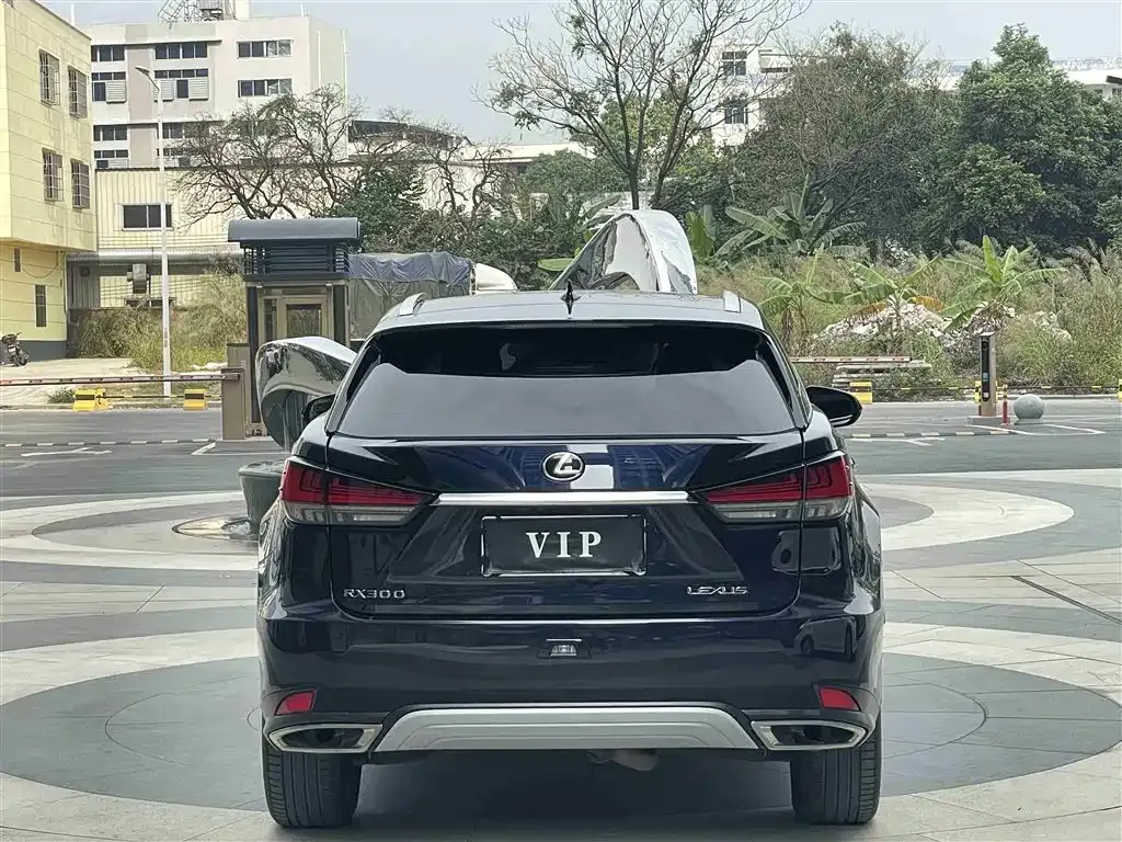 Lexus RX 2021 из CN, фото 10