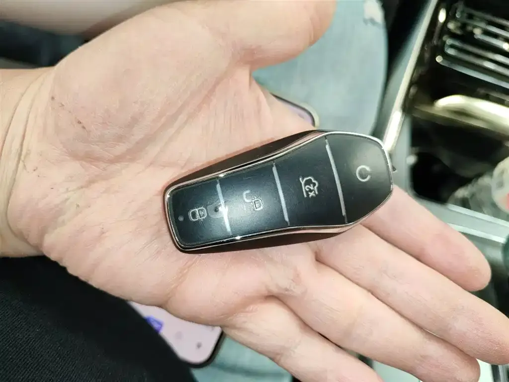 BYD Tang New Energy 2025 из CN, фото 2