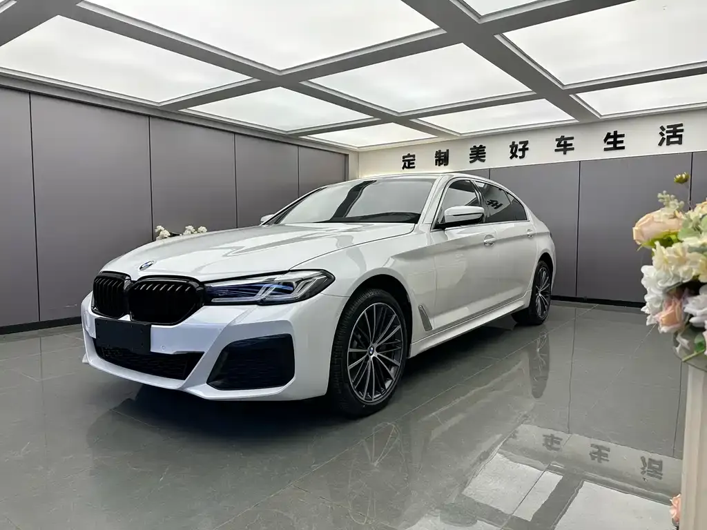 BMW 5 Series 2022 из CN, фото 1