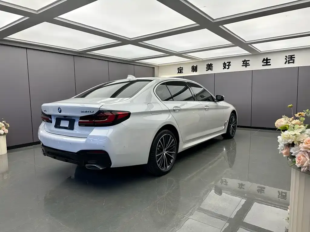 BMW 5 Series 2022 из CN, фото 3