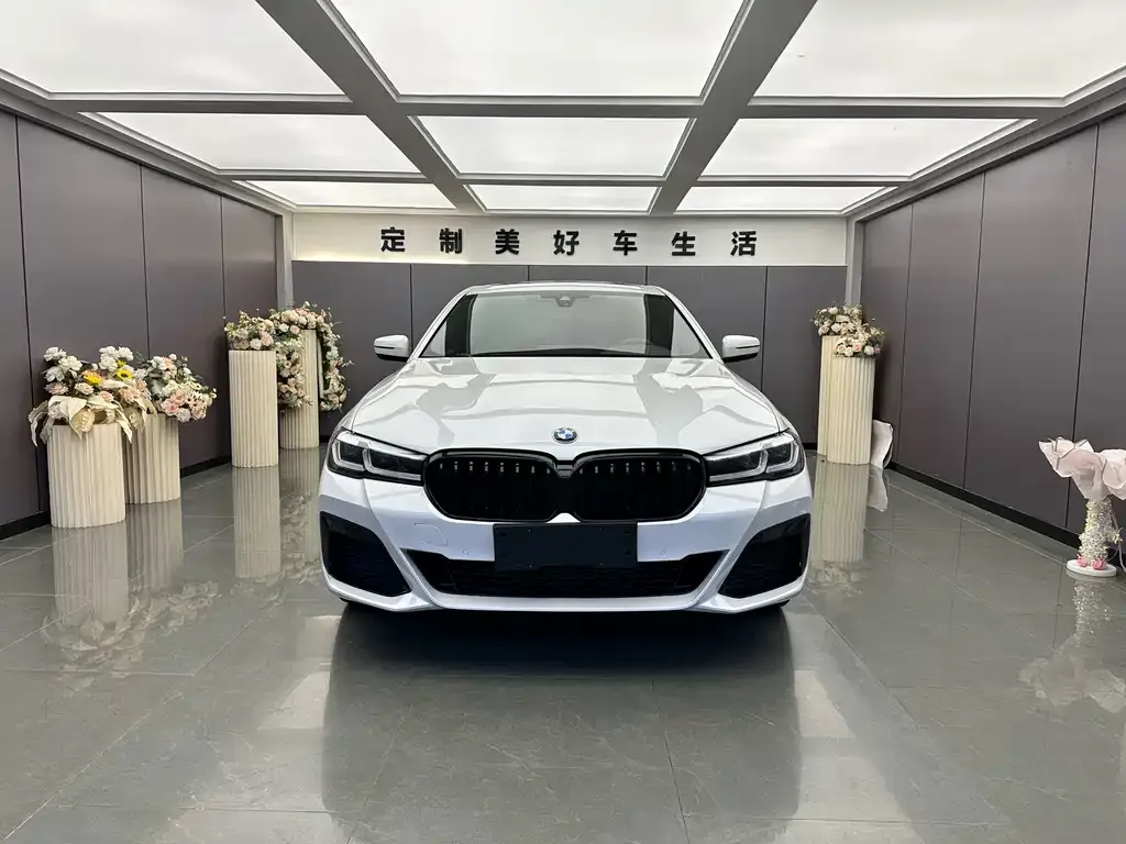 BMW 5 Series 2022 из CN, фото 6