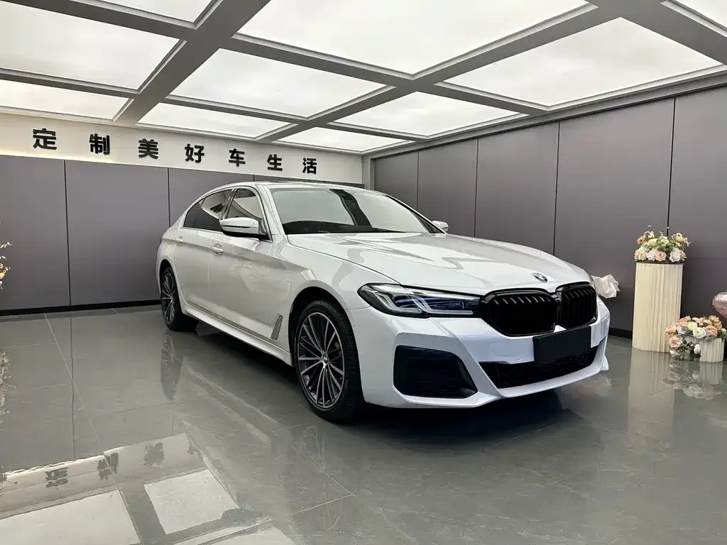 BMW 5 Series 2022 из CN, фото 4