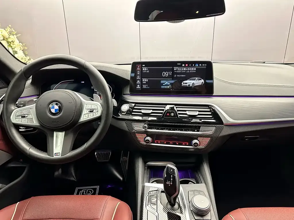 BMW 5 Series 2022 из CN, фото 10