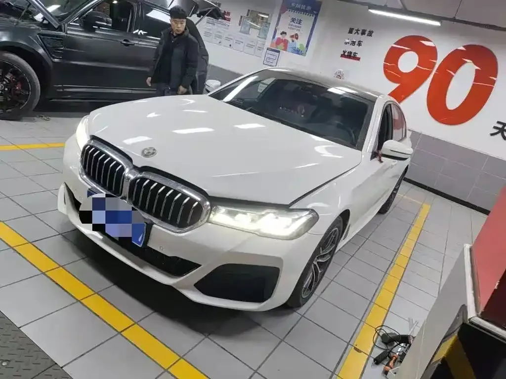 BMW 5 Series (Import) 2021 из CN, фото 1