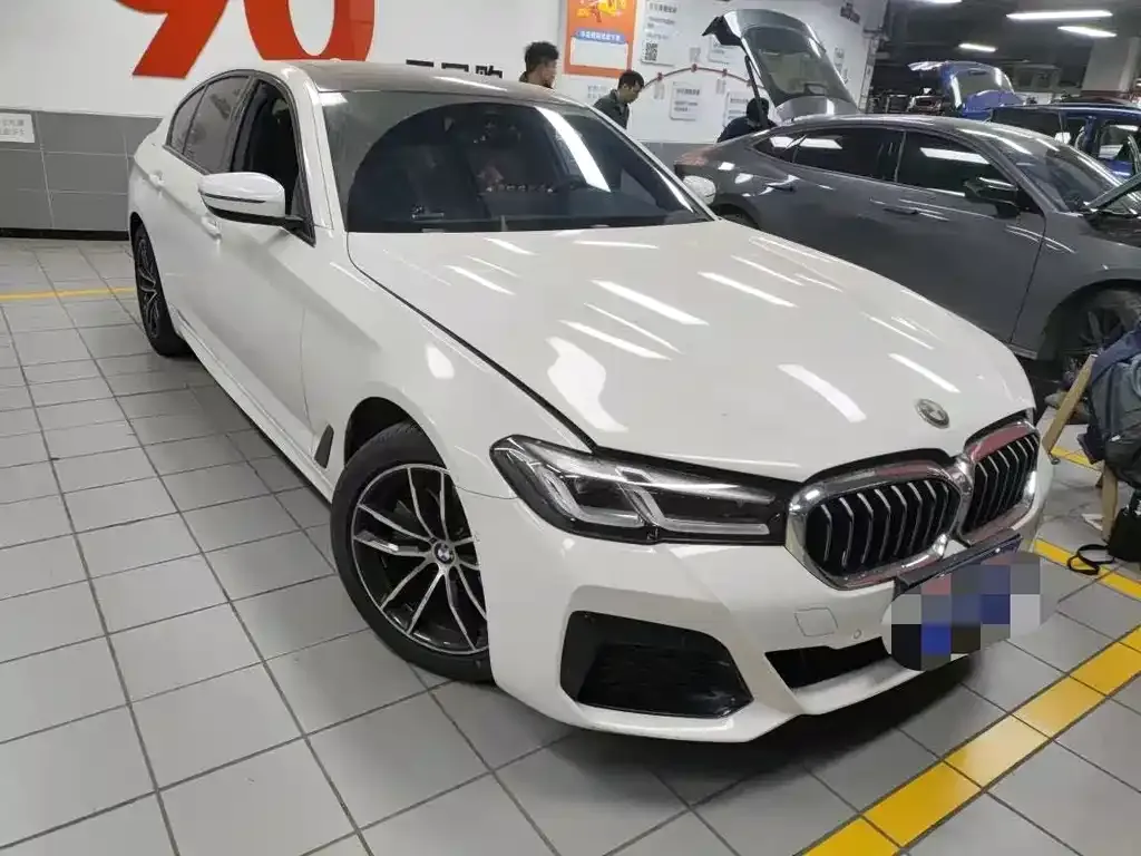 BMW 5 Series (Import) 2021 из CN, фото 4