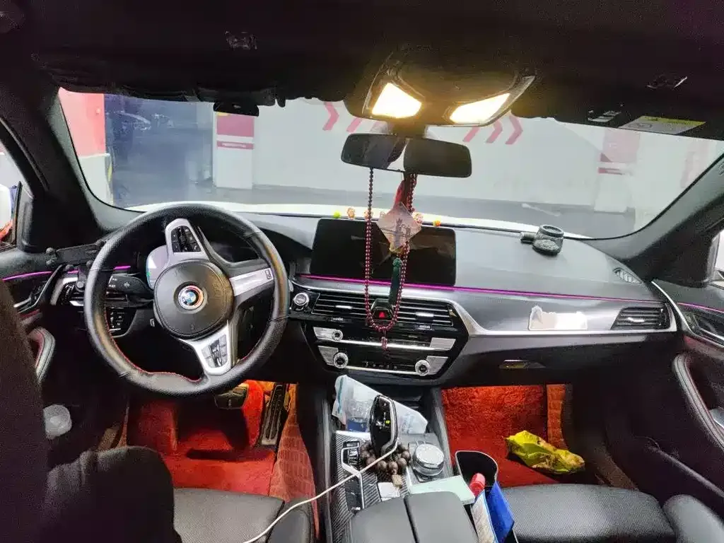 BMW 5 Series (Import) 2021 из CN, фото 6