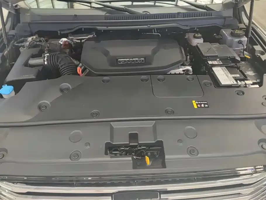 Tank 500 New Energy 2024 из CN, фото 5
