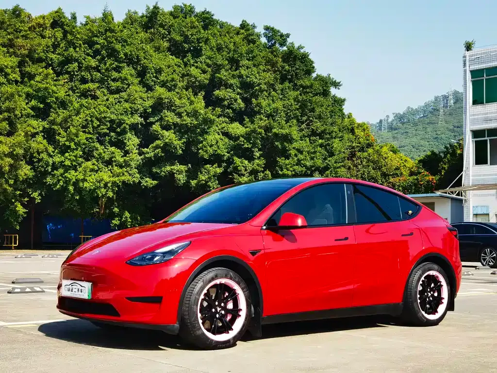Tesla Model Y 2022 из CN, фото 1