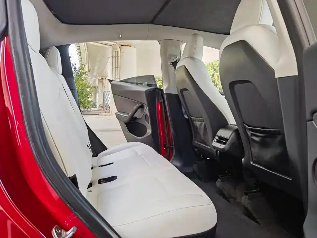 Tesla Model Y 2022 из CN, фото 6