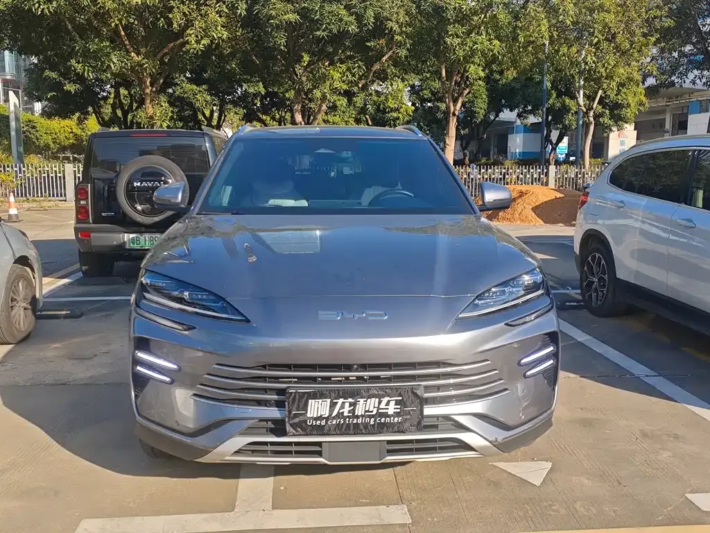 BYD PLUS New Energy 2023 из CN, фото 7