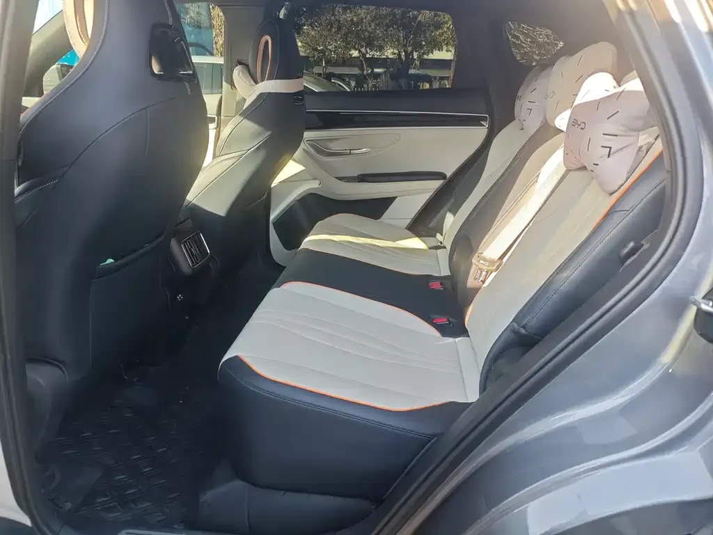 BYD PLUS New Energy 2023 из CN, фото 4