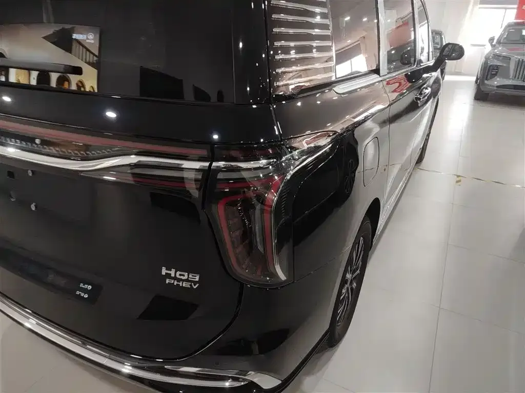 Hongqi HQ9 PHEV 2025 из CN, фото 4