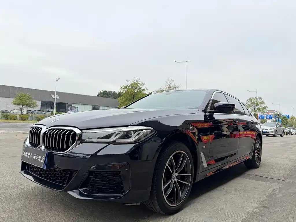 BMW 5 Series 2022 из CN, фото 1