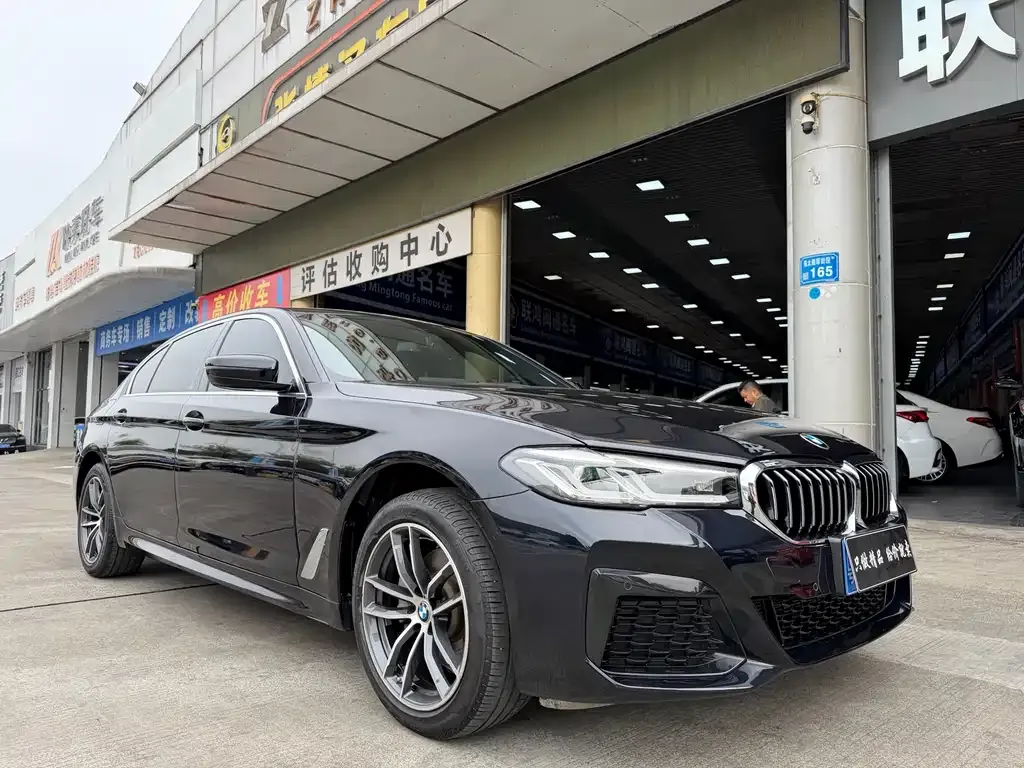 BMW 5 Series 2022 из CN, фото 10