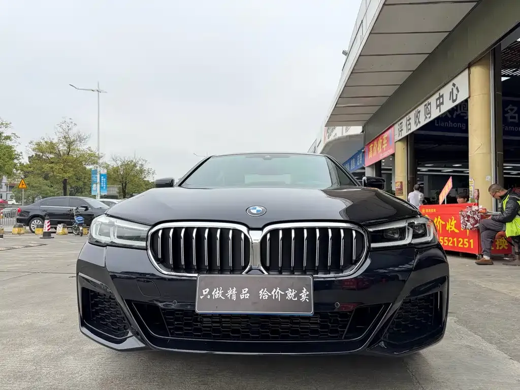 BMW 5 Series 2022 из CN, фото 3