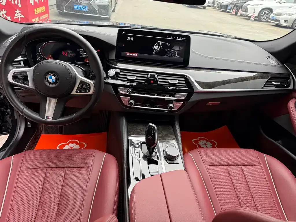 BMW 5 Series 2022 из CN, фото 6