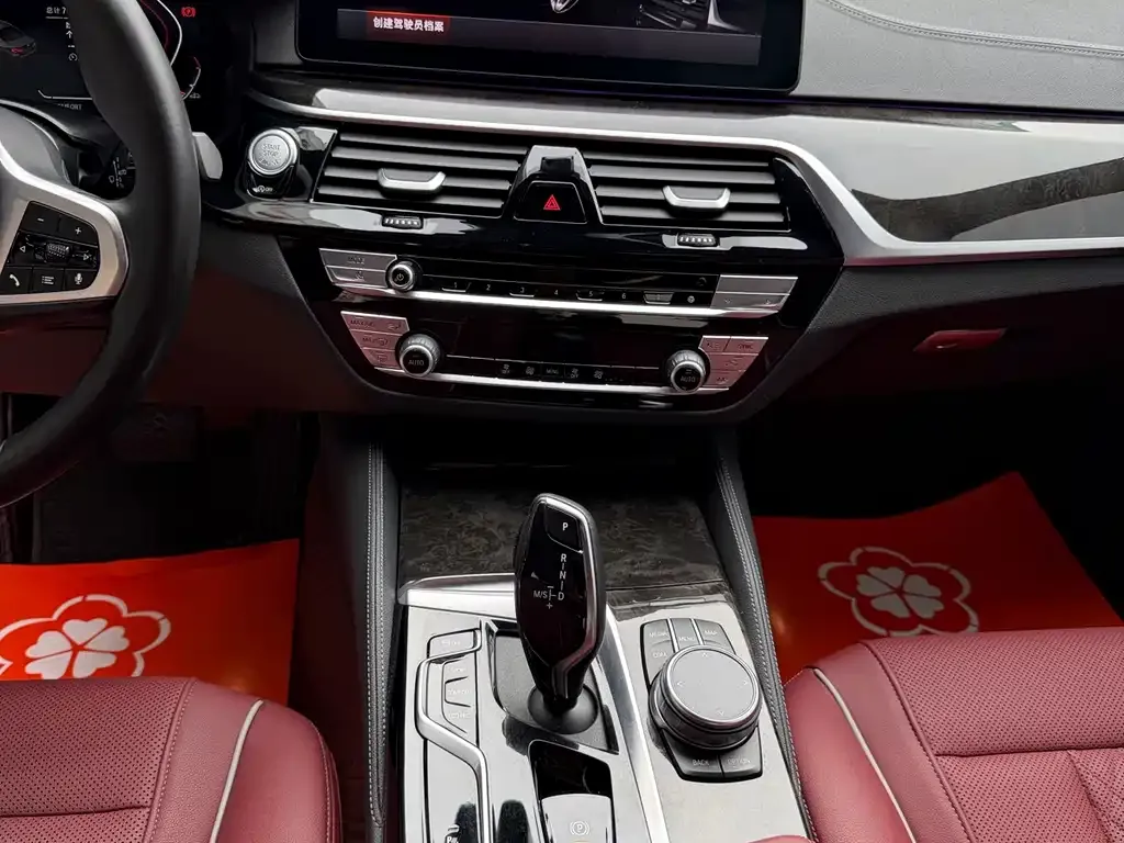 BMW 5 Series 2022 из CN, фото 4