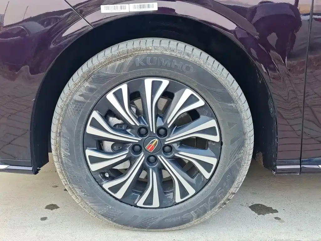 Hongqi HQ9 PHEV 2024 из CN, фото 6