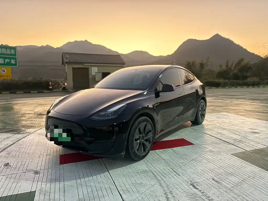 Tesla Model Y 2024 из CN, фото 1