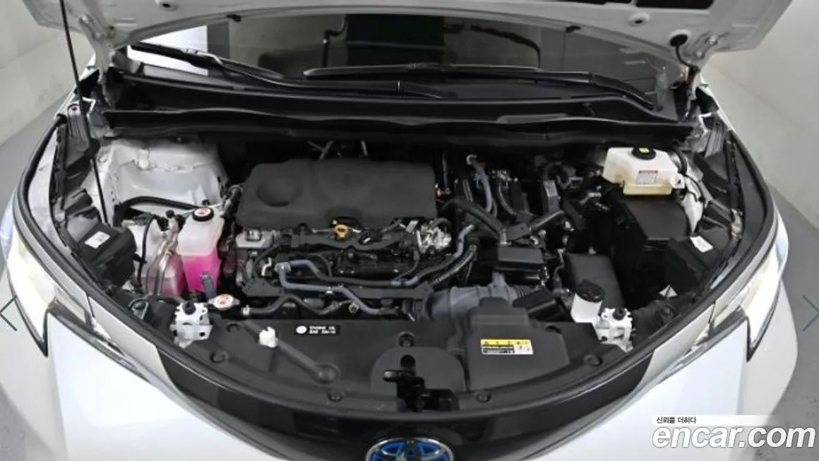 Toyota Sienna 2023 из KR, фото 3