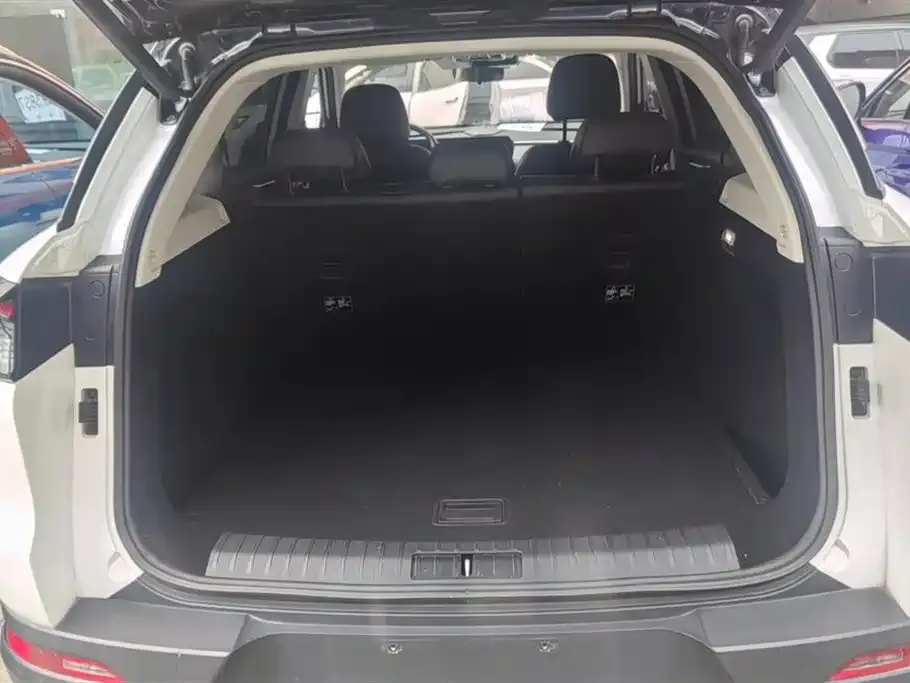 BAIC X7 2023 из CN, фото 4