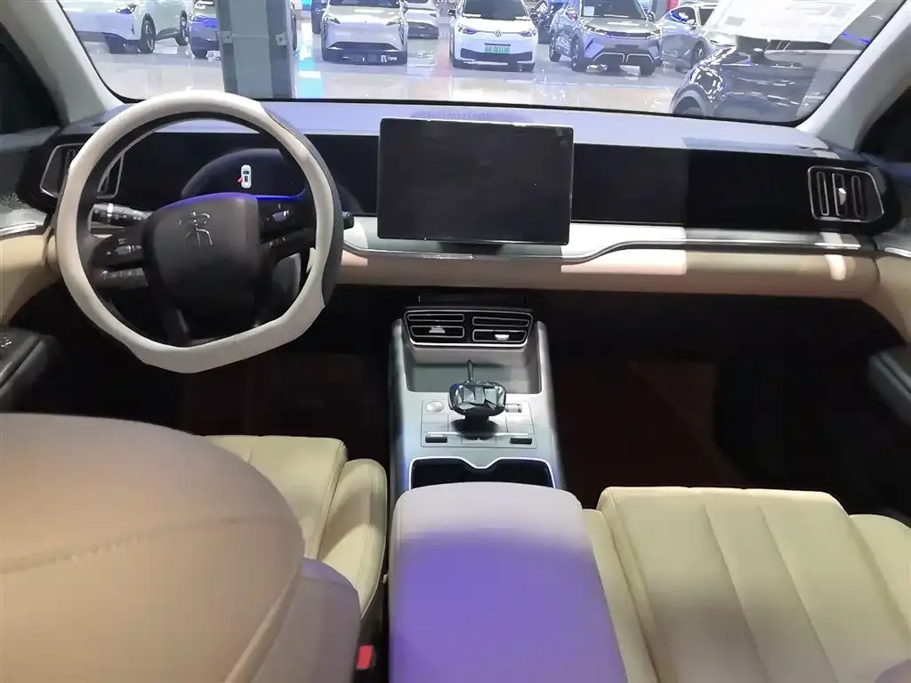 BYD Pro New Energy 2025 из CN, фото 8